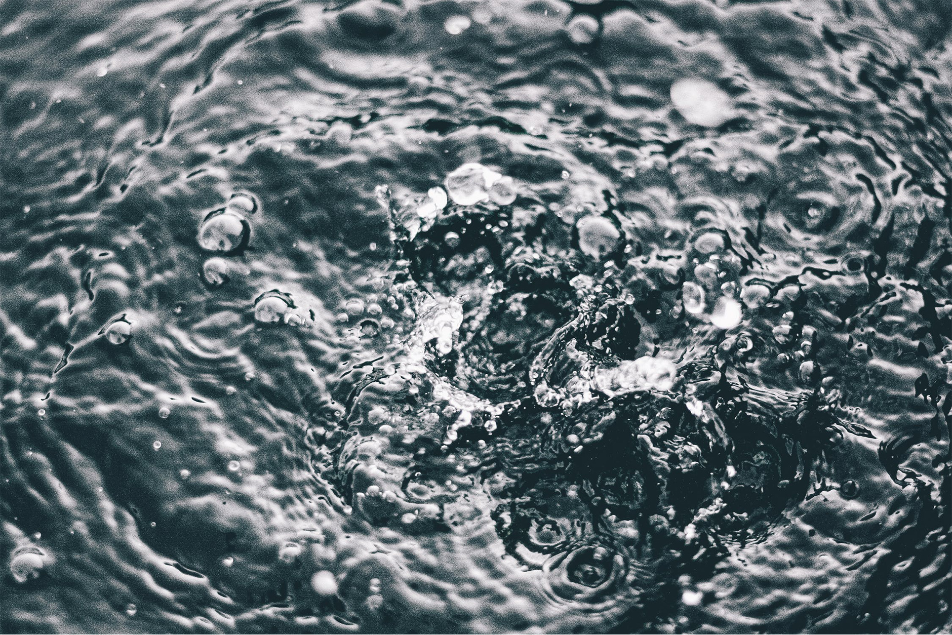 What to do if you Drop your Phone in Water