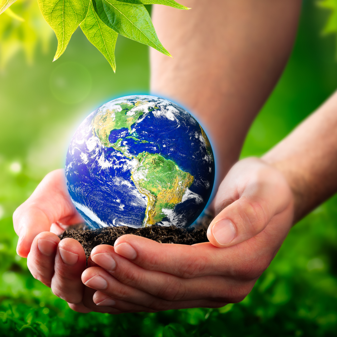 Apple & Samsung’s Green Thumb