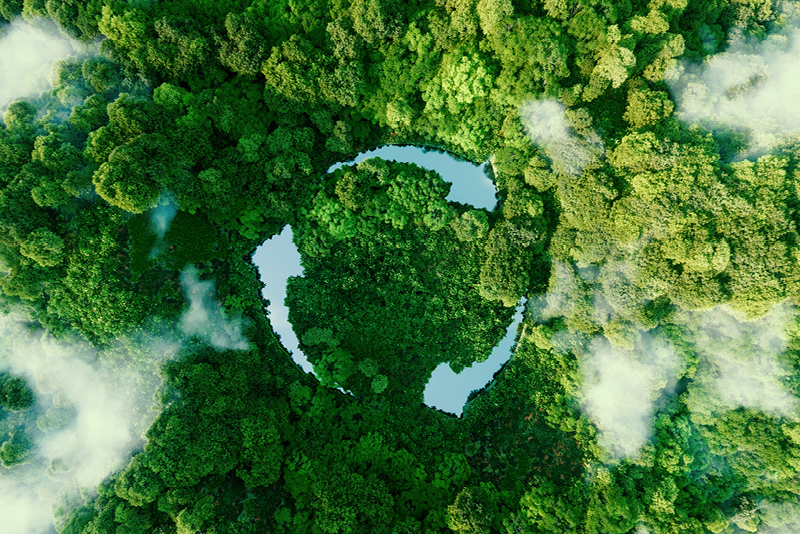 The Most Eco Friendly Phones Of 2023